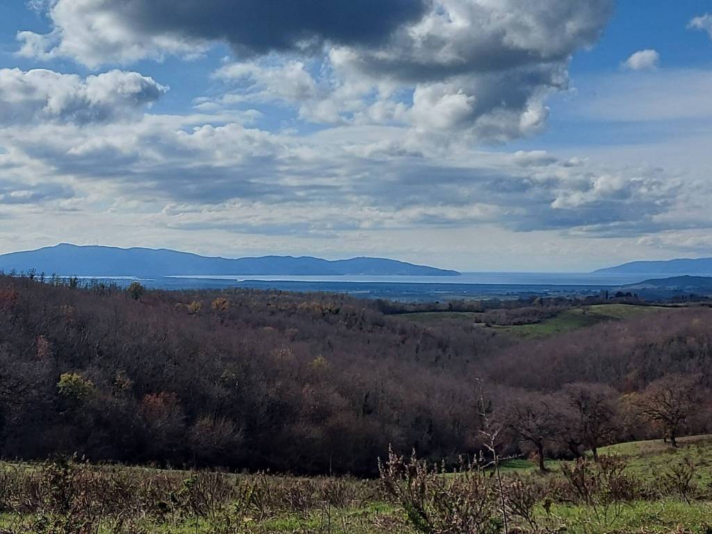 Terreno a Magliano in toscana in Strada Consortile La Capitana - Foto 4
