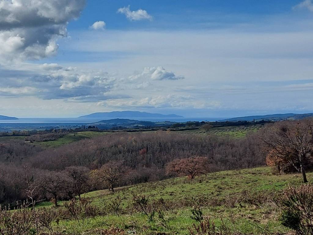Terreno a Magliano in toscana in Strada Consortile La Capitana - Foto 5