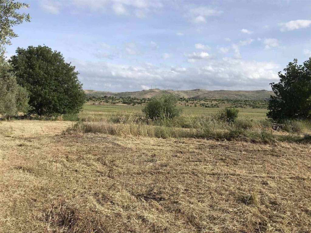 Terreno a Carlentini in C.DA CUPPODIA - Foto 2