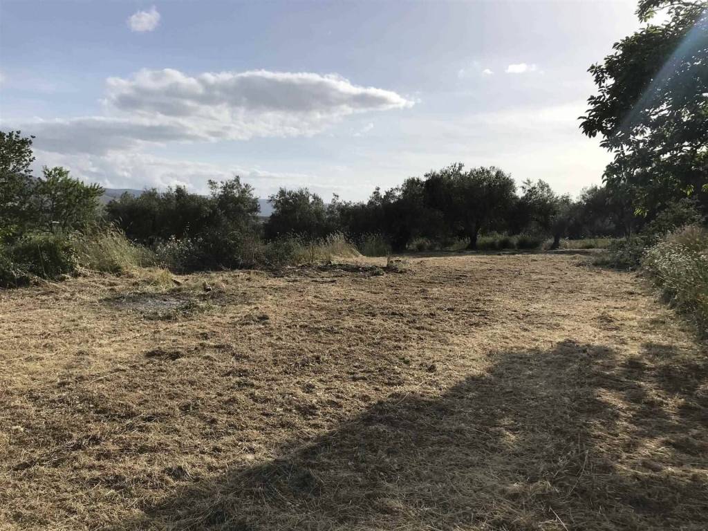 Terreno a Carlentini in C.DA CUPPODIA - Foto 4