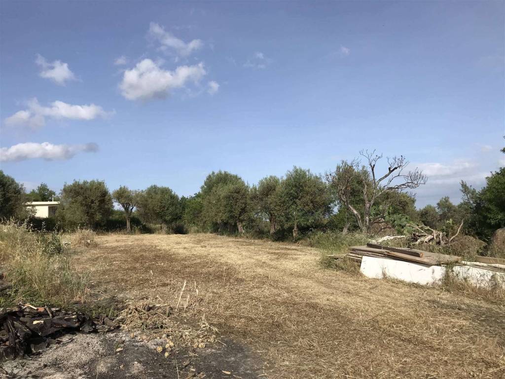 Terreno a Carlentini in C.DA CUPPODIA - Foto 5