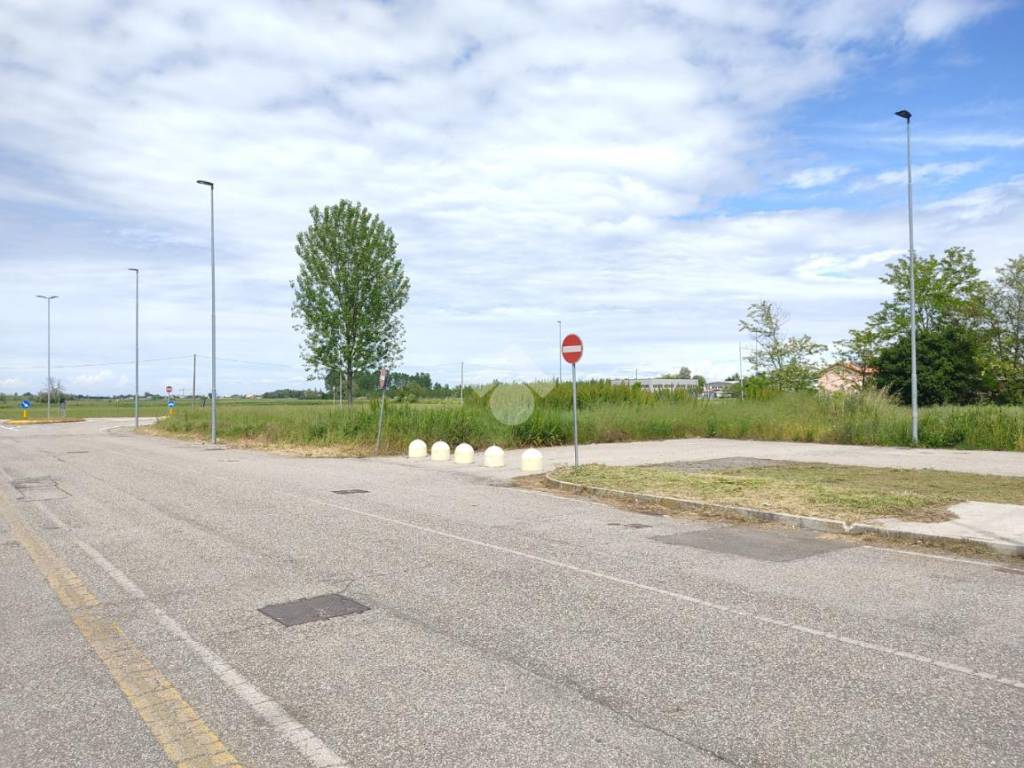 Terreno a Mirandola in Via Bosco Monastico - Foto 5