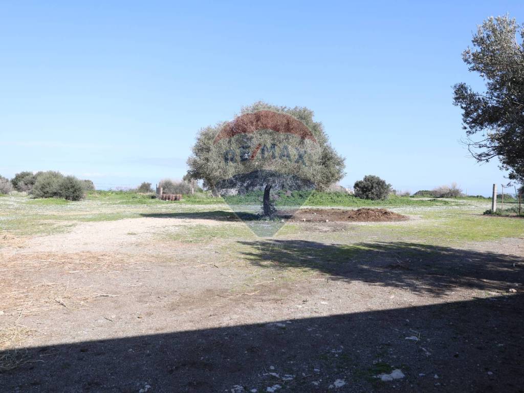 Terreno a Cinisi in C.da Feudo Orsa - Foto 3