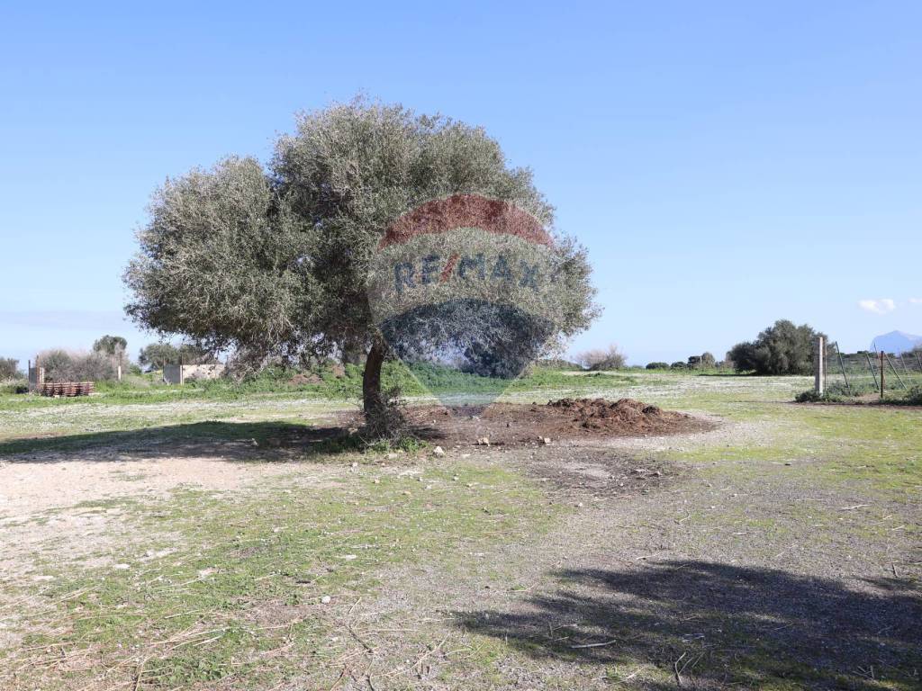 Terreno a Cinisi in C.da Feudo Orsa - Foto 5