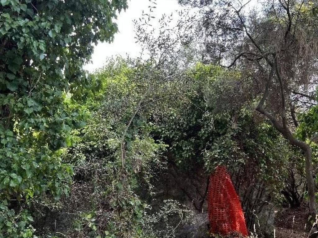 Terreno a Camaiore in Via delle Capanne - Foto 3