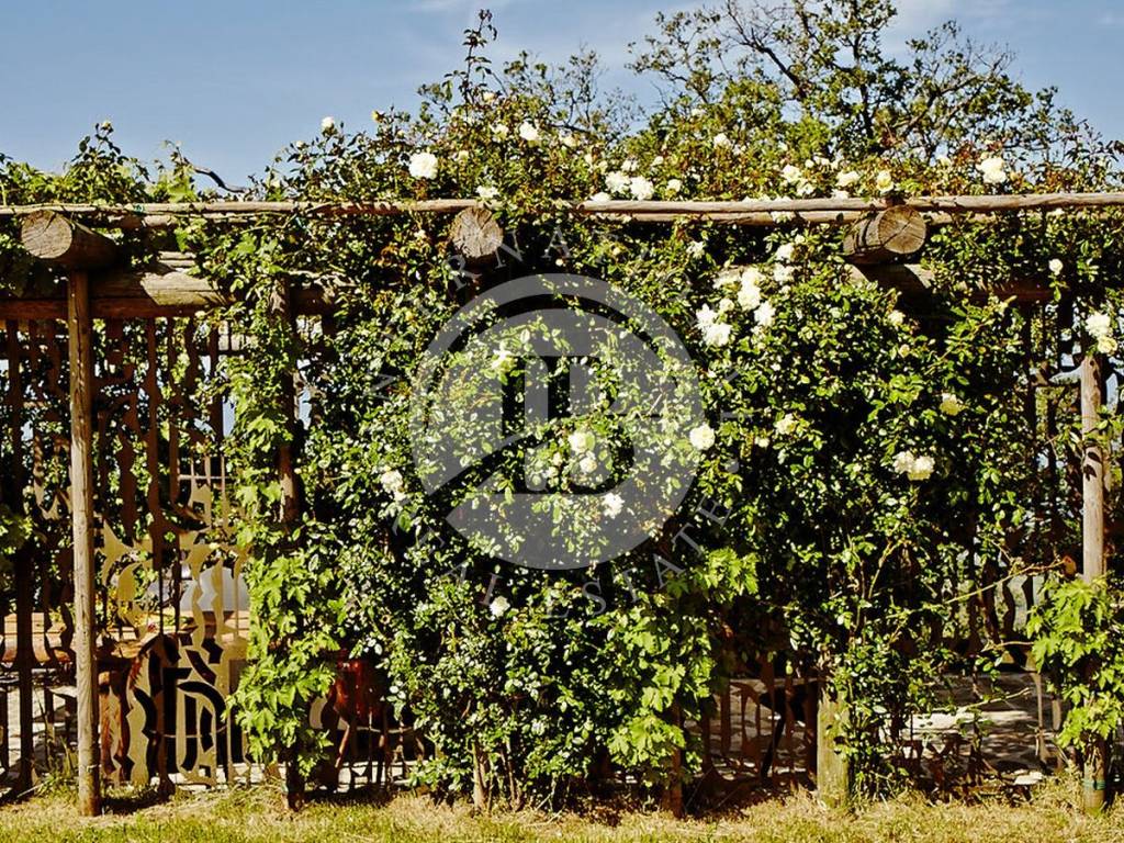 Rustico / casale a Terranuova bracciolini - Foto 3