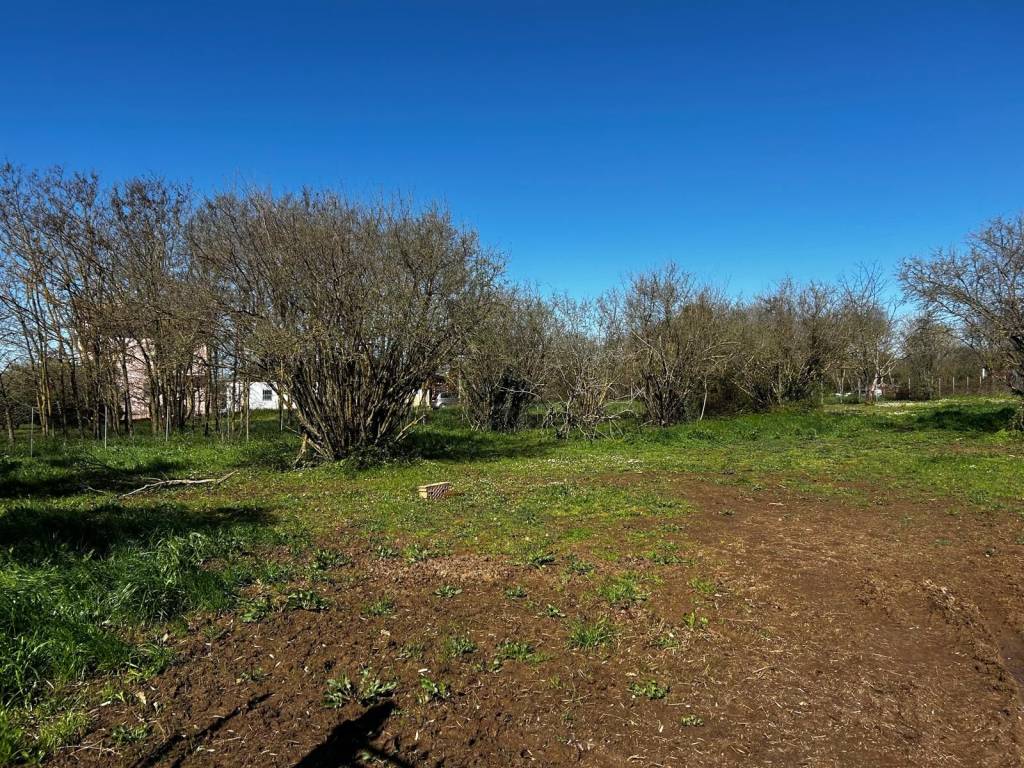 Terreno a Bassano in teverina in Via Ortana - Foto 2