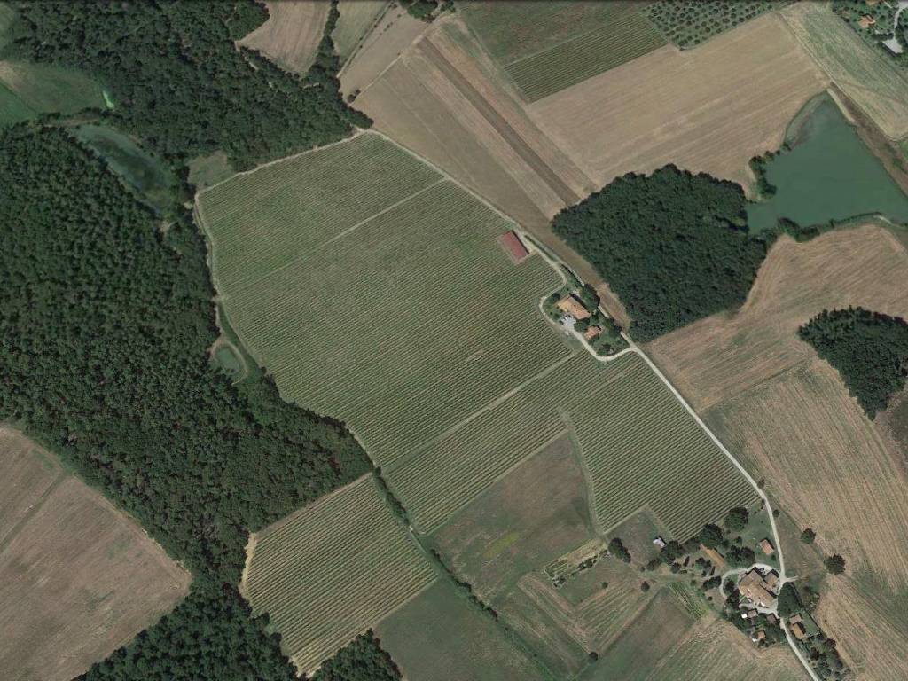 Rustico / casale a Castiglione del lago in Via della Torre - Foto 4