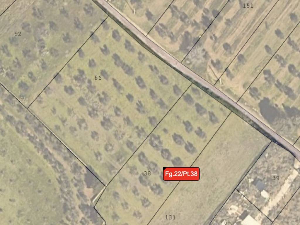 Terreno a Novoli in Via Li Stritti - Foto 2