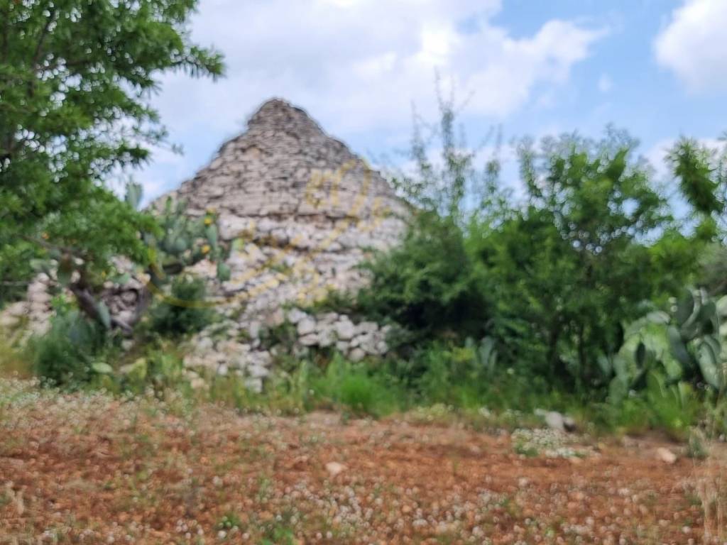 Rustico / casale a Monopoli in Contrada Ciporelli - Foto 3