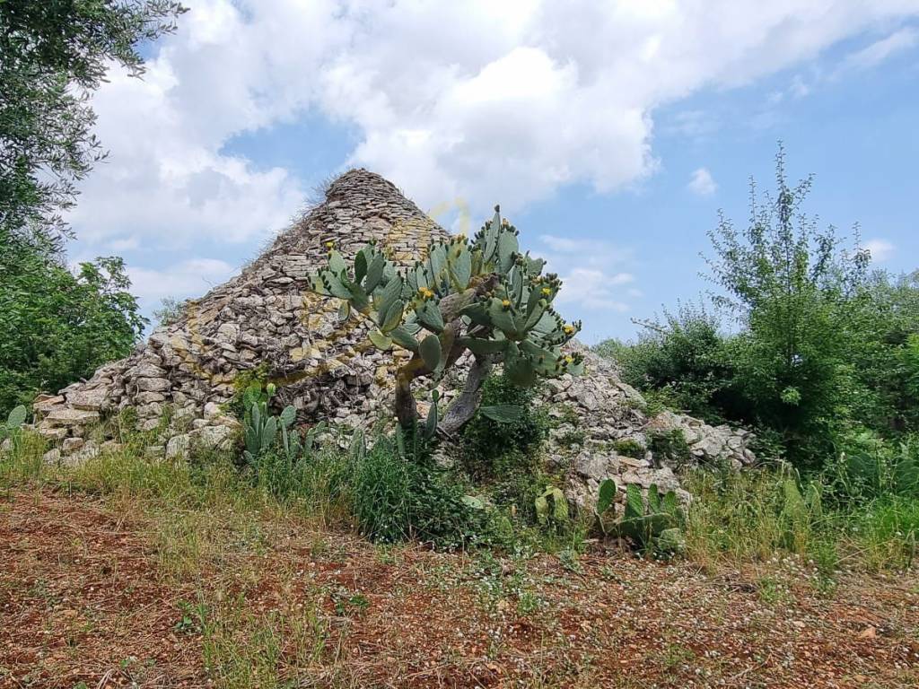 Rustico / casale a Monopoli in Contrada Ciporelli - Foto 4