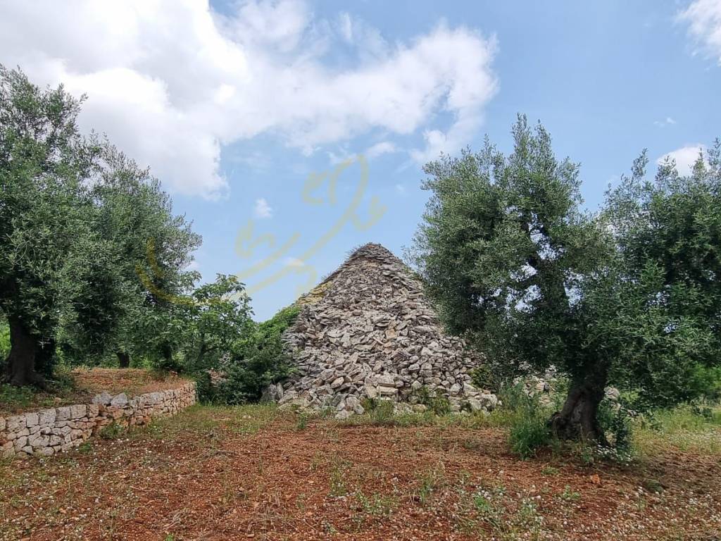 Rustico / casale a Monopoli in Contrada Ciporelli - Foto 5