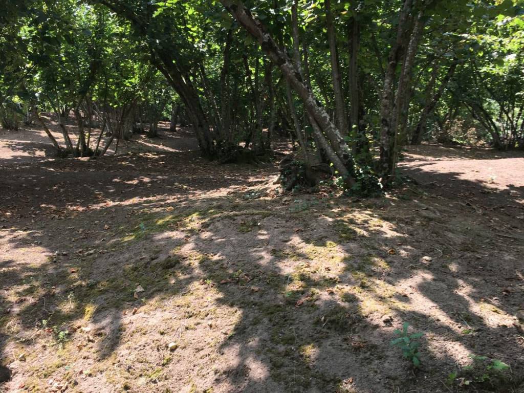 Terreno a Avellino in Via San Salvatore - Foto 2