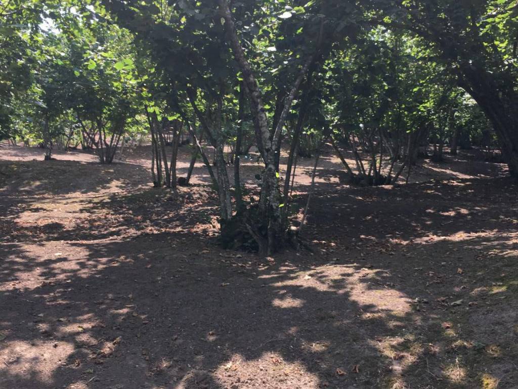 Terreno a Avellino in Via San Salvatore - Foto 3