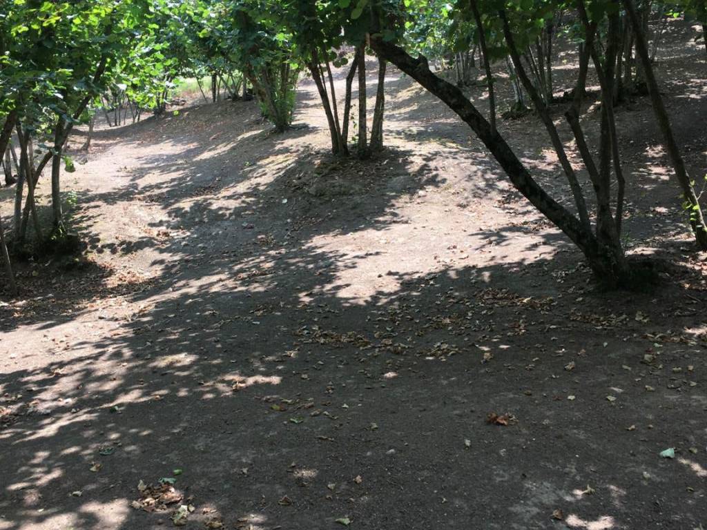 Terreno a Avellino in Via San Salvatore - Foto 4