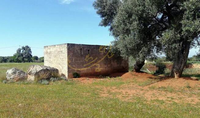 Terreno a Fasano in Contrada sant'angelo - Foto 2