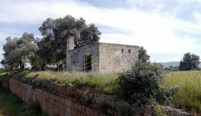 Terreno a Fasano in Contrada sant'angelo - Foto 3