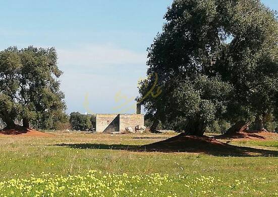 Terreno a Fasano in Contrada sant'angelo - Foto 4