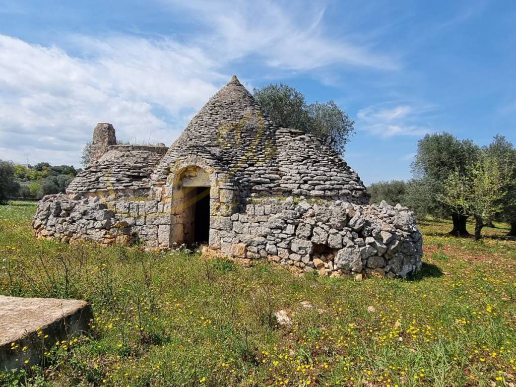 Rustico / casale a Ostuni in Contrada Pascarosa - Foto 3