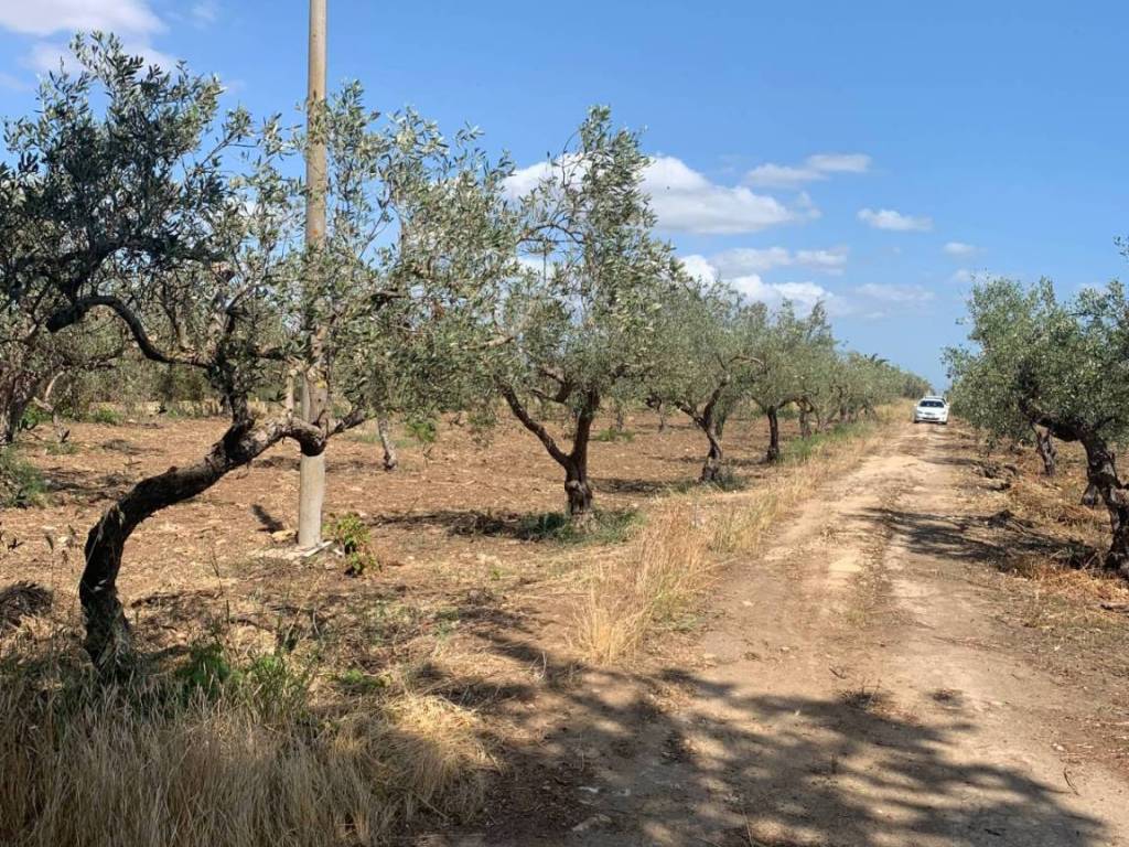Terreno a Castelvetrano in via Cavallaro - Foto 5