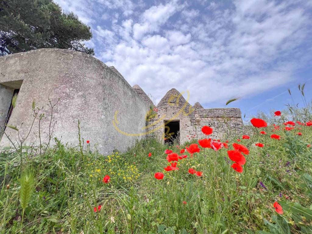 Rustico / casale a Martina franca in Carpari - Foto 2