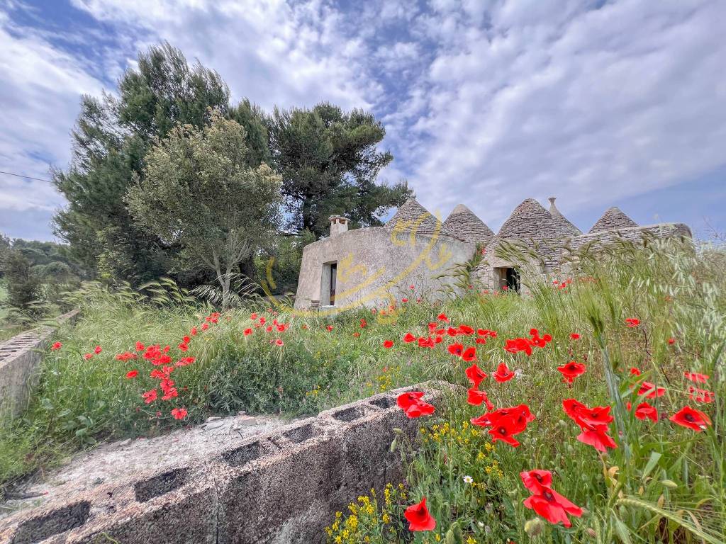 Rustico / casale a Martina franca in Carpari - Foto 3