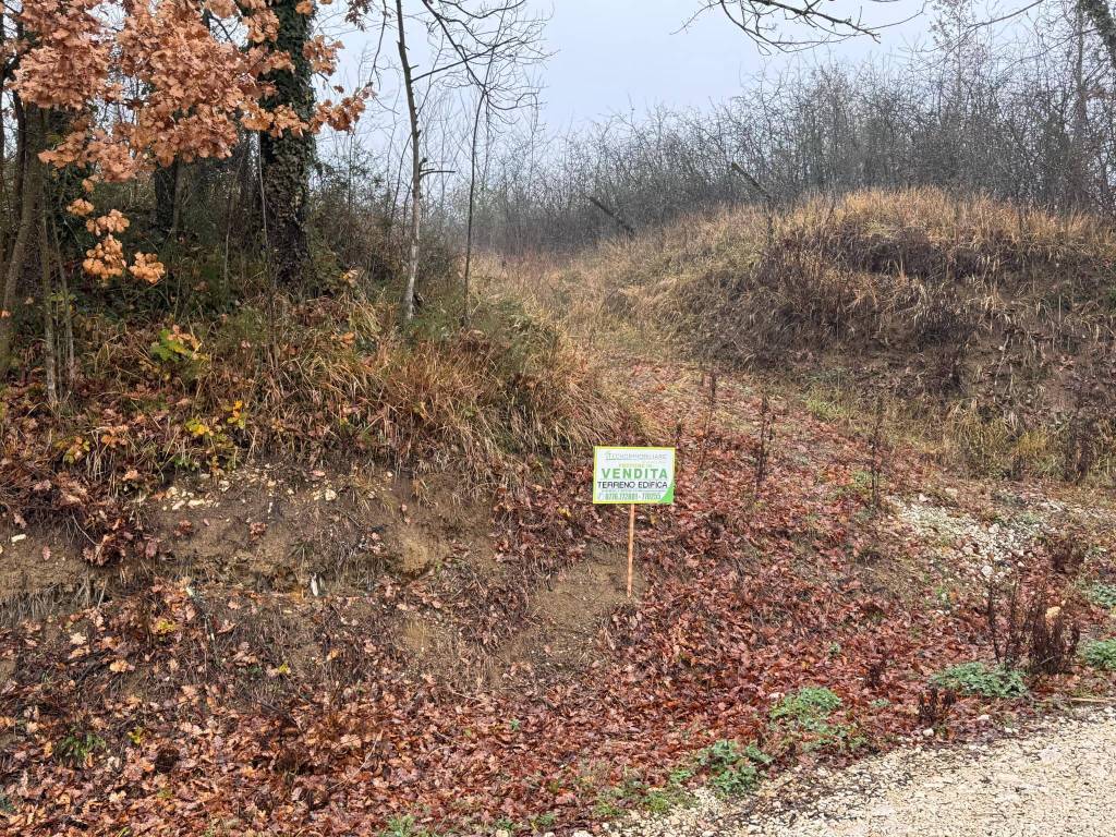 Terreno a Pontecorvo in Località Tore - Foto 2
