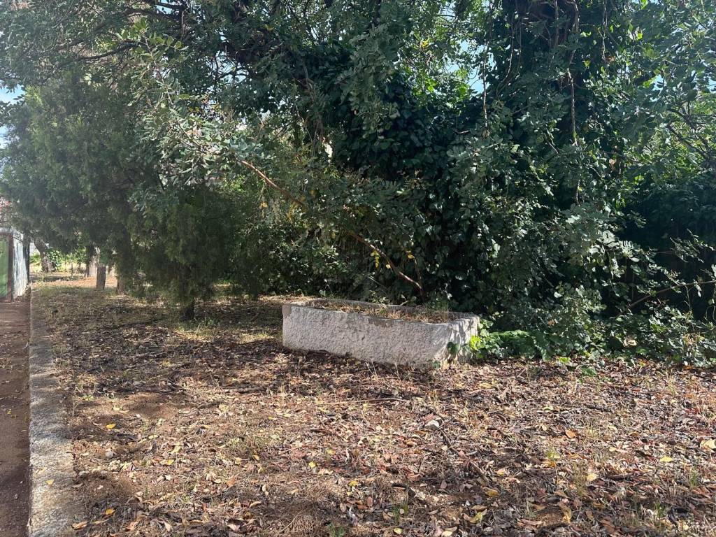 Immobile a Modugno - Foto 3