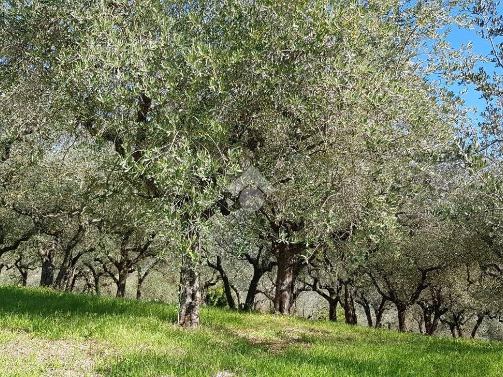 Rustico / casale a Gualdo cattaneo in Via Putuense - Foto 4
