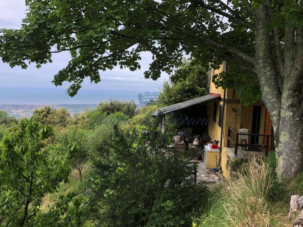 Rustico / casale a Pietrasanta in Via Monticolegno - Foto 4