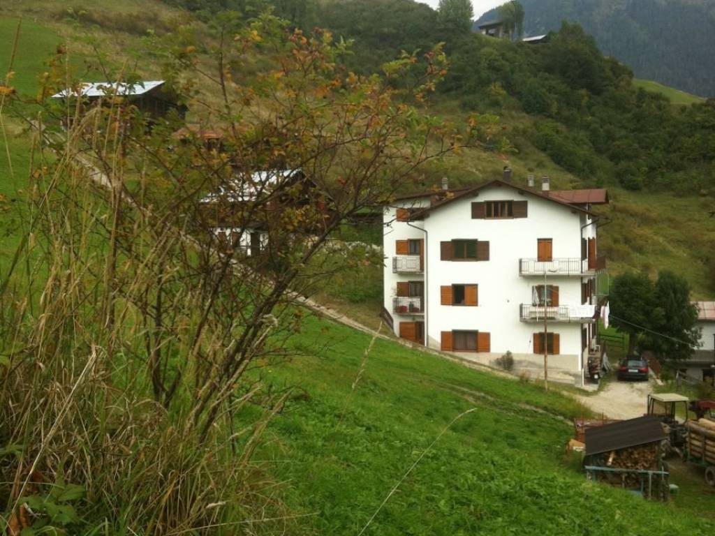 Appartamento a San pietro di cadore in Via Ciganotto Valle di San pIETRO - Foto 2