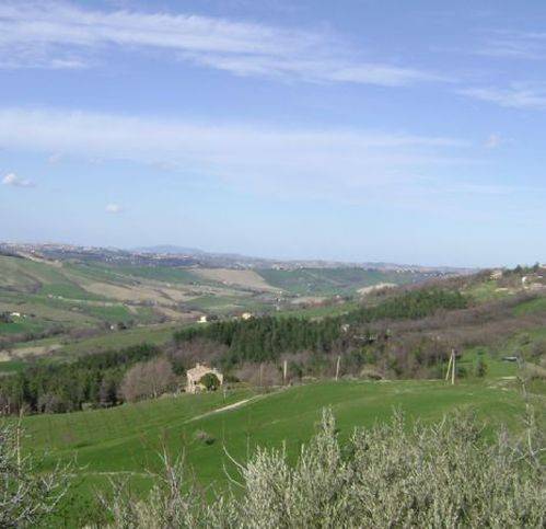 Rustico / casale a Loro piceno - Foto 4