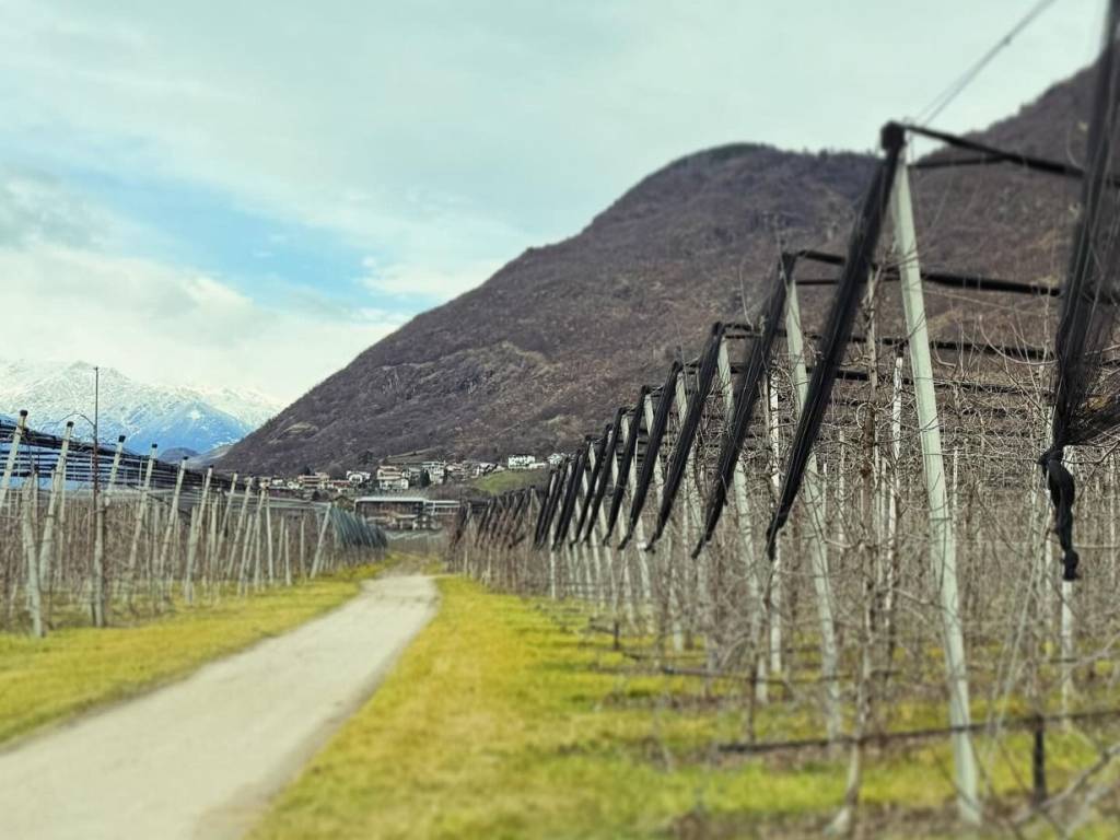 Terreno a Gargazzone in Via Nazionale - Foto 2