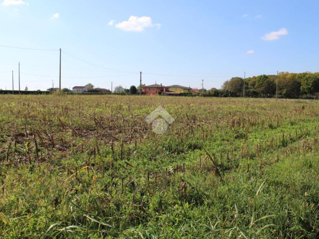 Terreno a Tribano in Via draghe - Foto 2