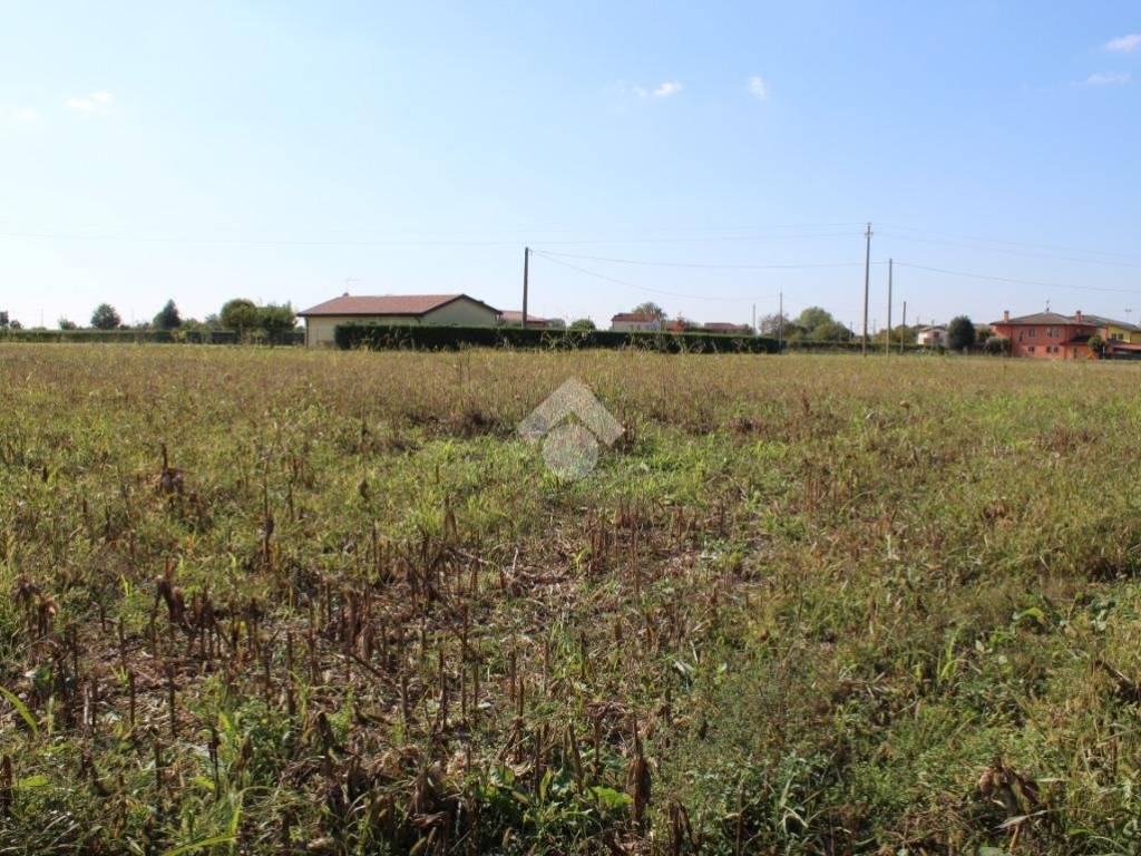 Terreno a Tribano in Via draghe - Foto 4