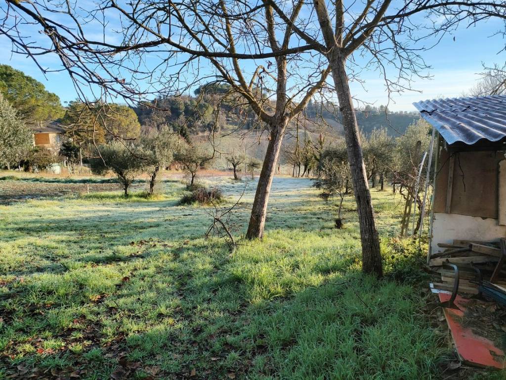 Rustico / casale a Mogliano in Contrada Streggiano, 12 - Foto 3