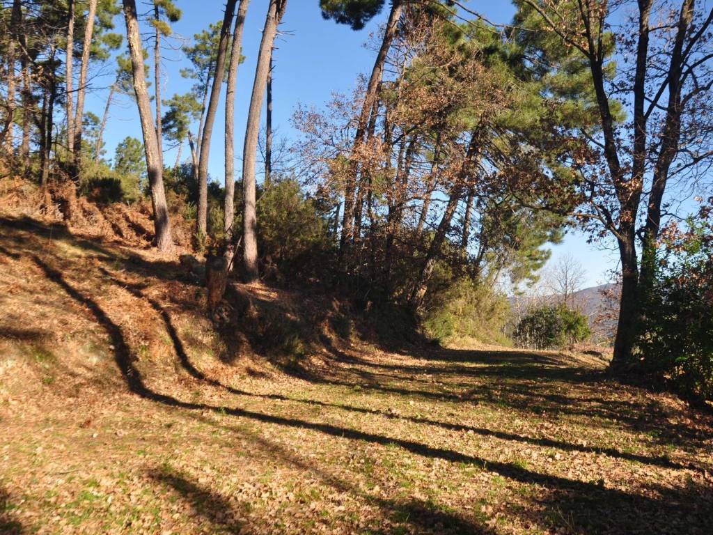 Rustico / casale a Pescia in via Collecchio - Foto 4