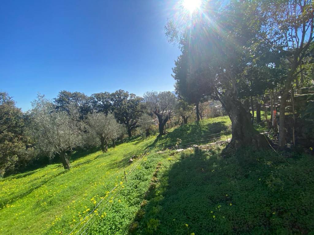 Terreno a Lamezia terme in Via Albert Einstein - Foto 4
