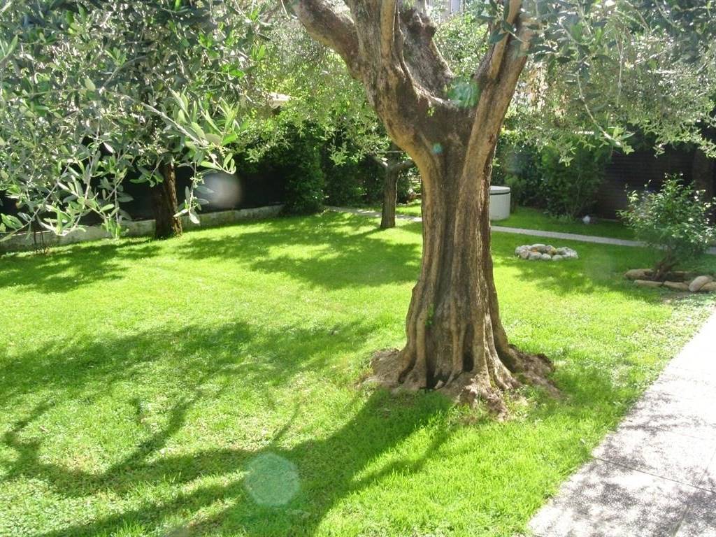 Villa a Vallefoglia - Foto 2