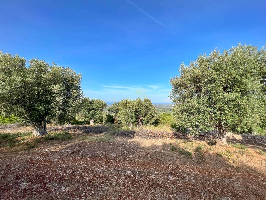 Rustico / casale a Monopoli in C.da Torchiano - Foto 4