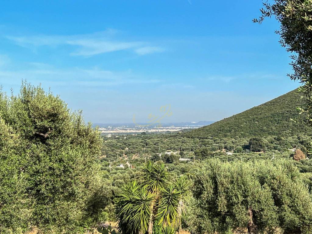 Rustico / casale a Monopoli in C.da Torchiano - Foto 5