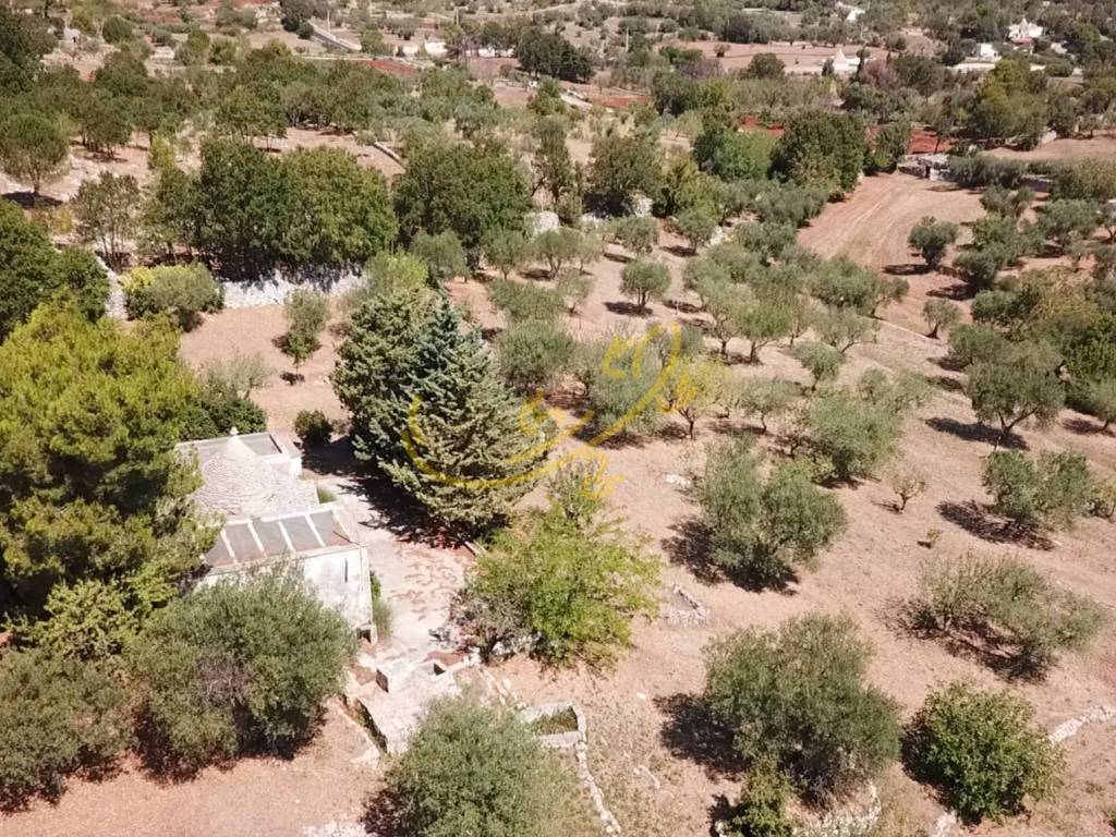 Rustico / casale a Alberobello in C.da Bosco Selva - Foto 2