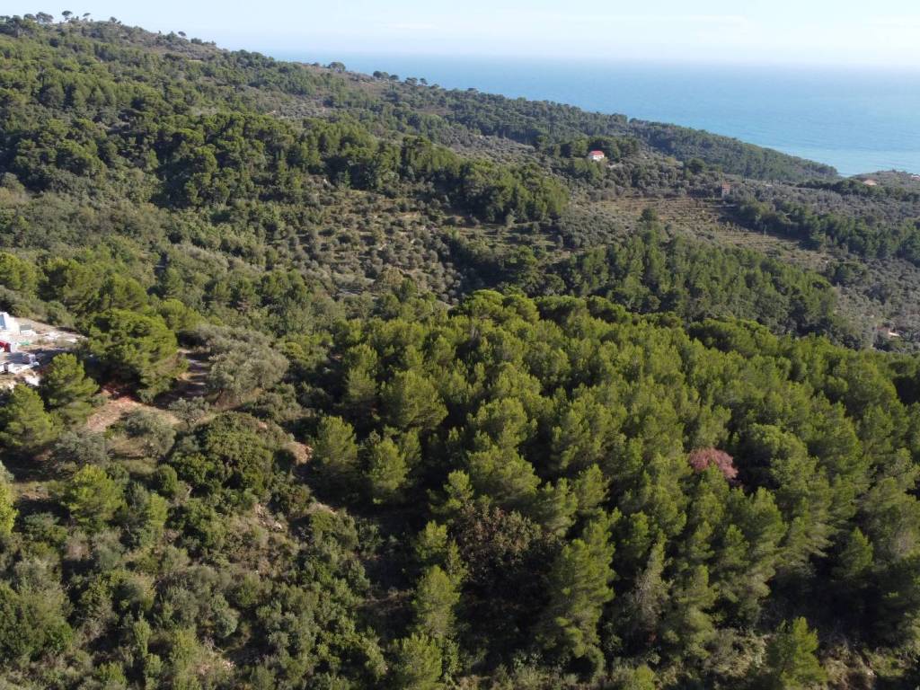 Terreno a Cervo in Strada Morene - Foto 2