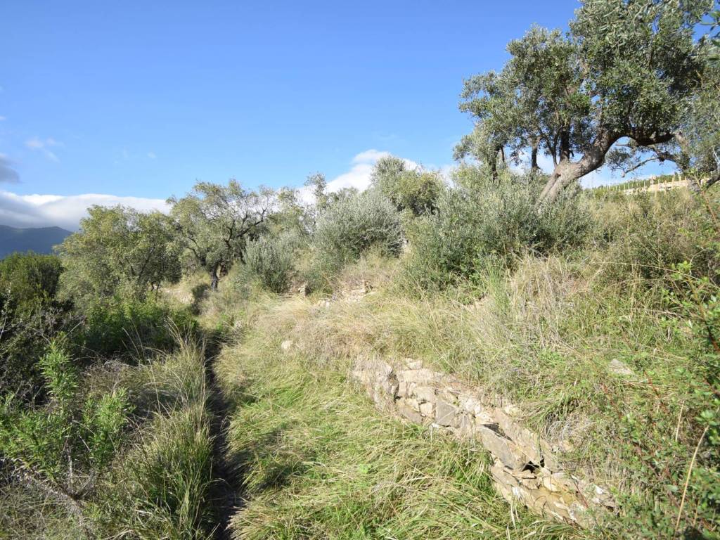 Terreno a Cervo in Strada Morene - Foto 4