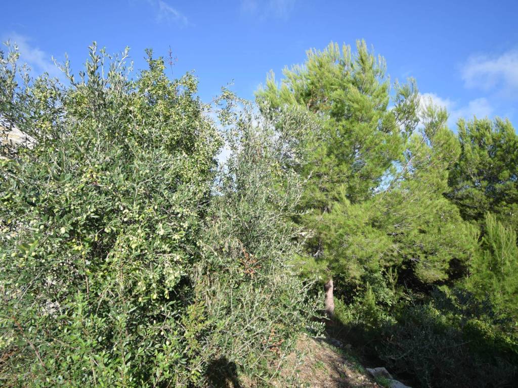 Terreno a Cervo in Strada Morene - Foto 5