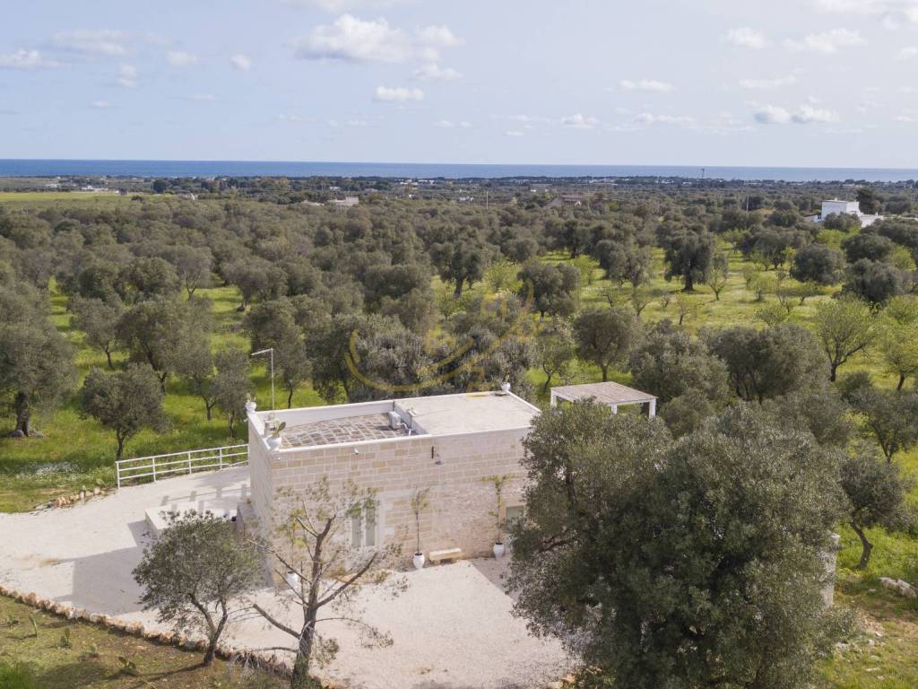 Rustico / casale a Carovigno in C.da Frascinari - Foto 4