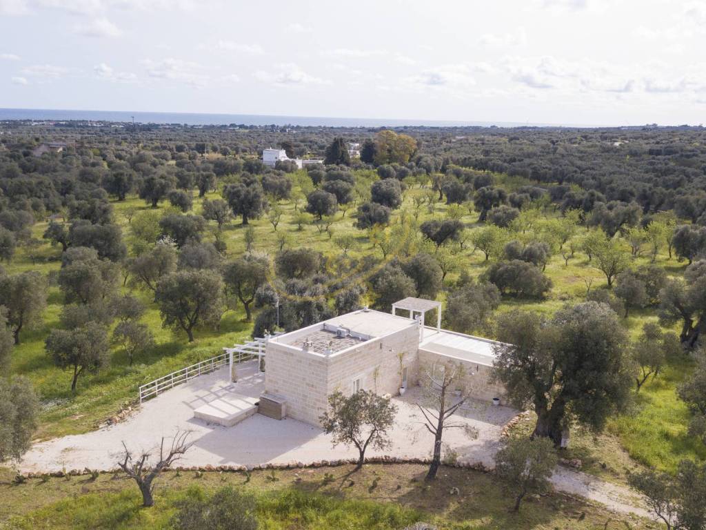 Rustico / casale a Carovigno in C.da Frascinari - Foto 5