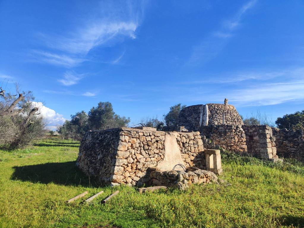 Rustico / casale a Galatone in Contrada Bascetta - Foto 3