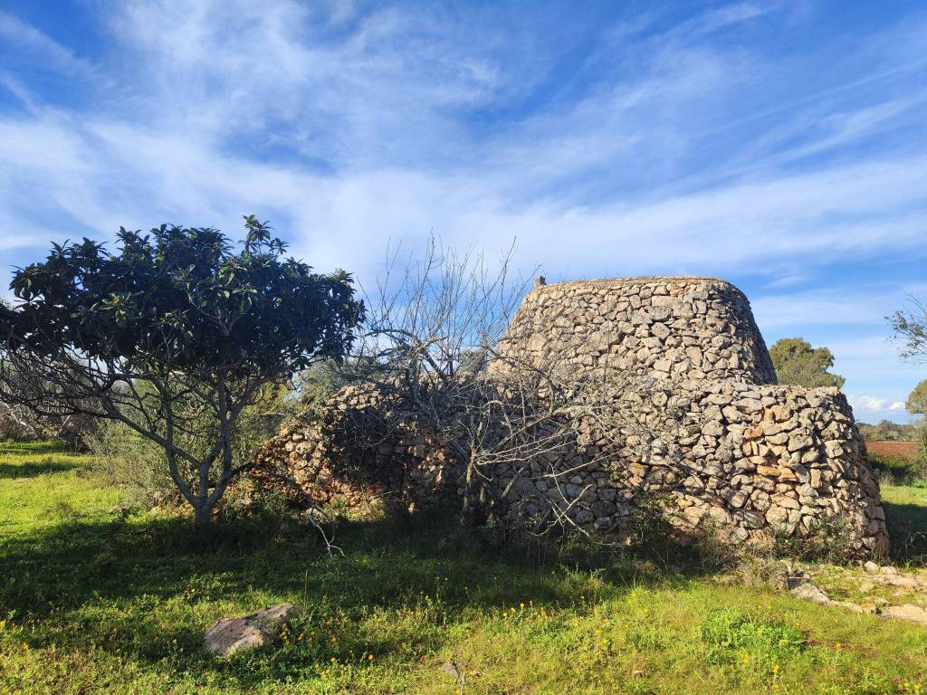 Rustico / casale a Galatone in Contrada Bascetta - Foto 4