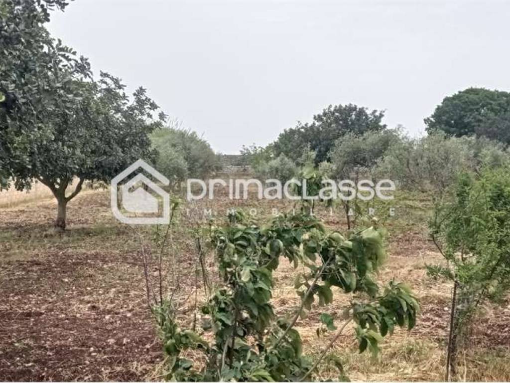 Villa a Modica - Foto 4